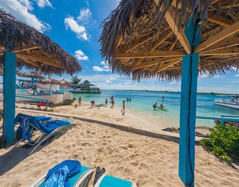 carnival swimming with pigs|Swimming Pigs & Sun Cay Beach Club with Lunch